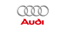 Audi Strut Mounts