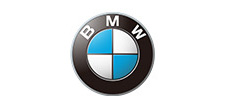 BMW Strut Mounts