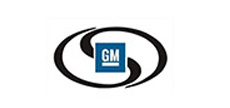 GM Strut Mounts