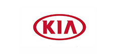 KIA Strut Mounts