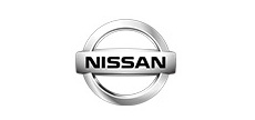 Nissan Strut Mounts
