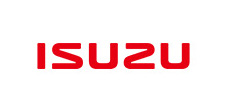 Isuzu Strut Mounts