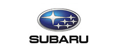 Subaru Strut Mounts